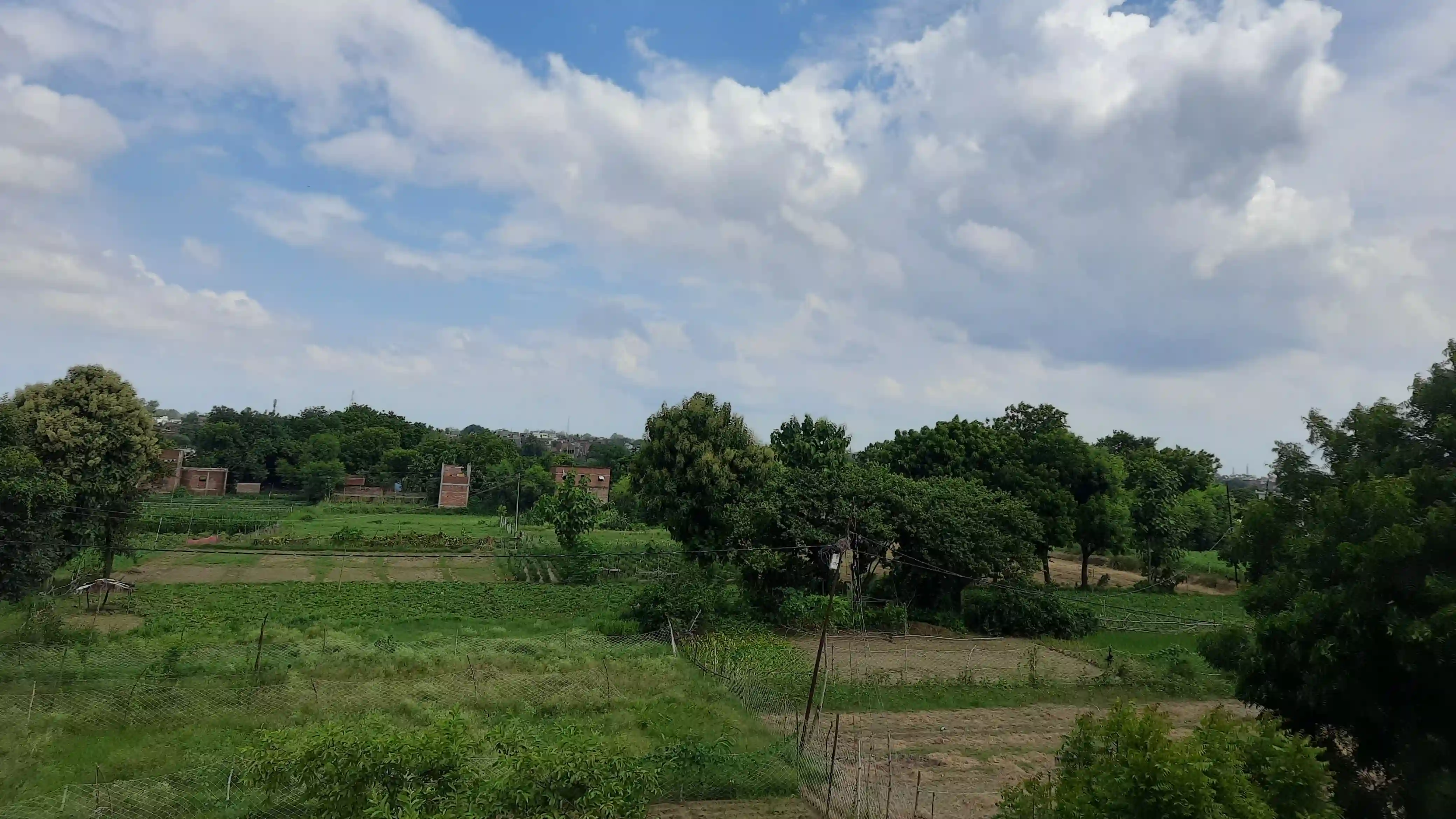 A village with Green farmers field